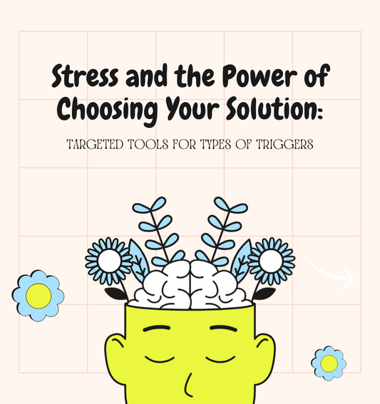 Stress and the Power of Choosing Your Solution workshop