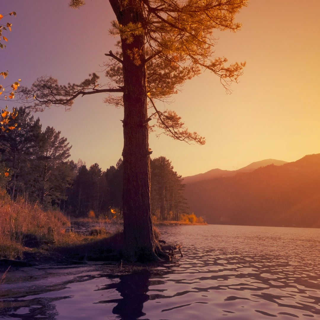 Three Quick Tools To Cultivate A Persistent State Of Gratitude