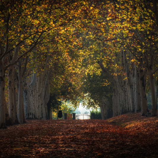 Swiftly Shift Your Perspective