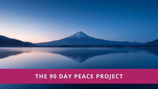 The 90 Day Peace Project