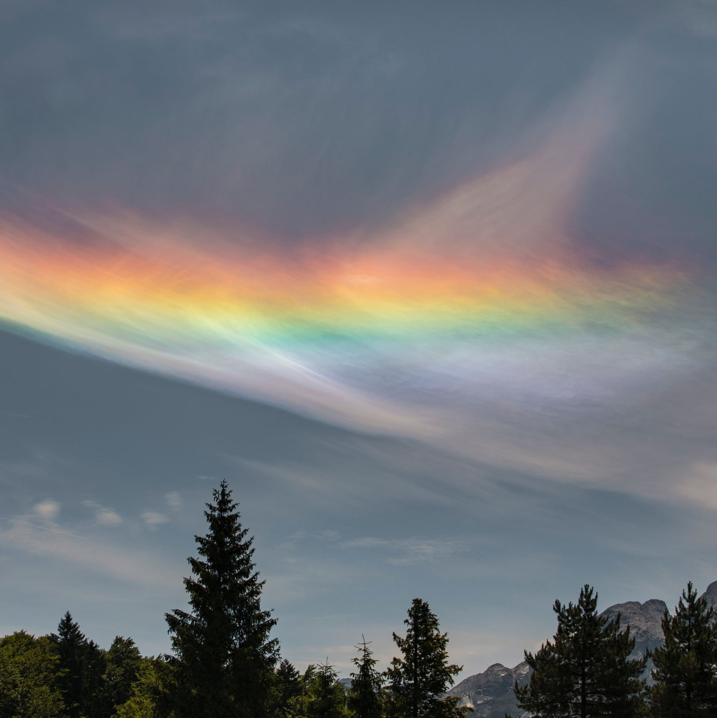 Receiving And Understanding Signs