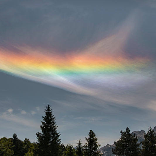 Receiving And Understanding Signs