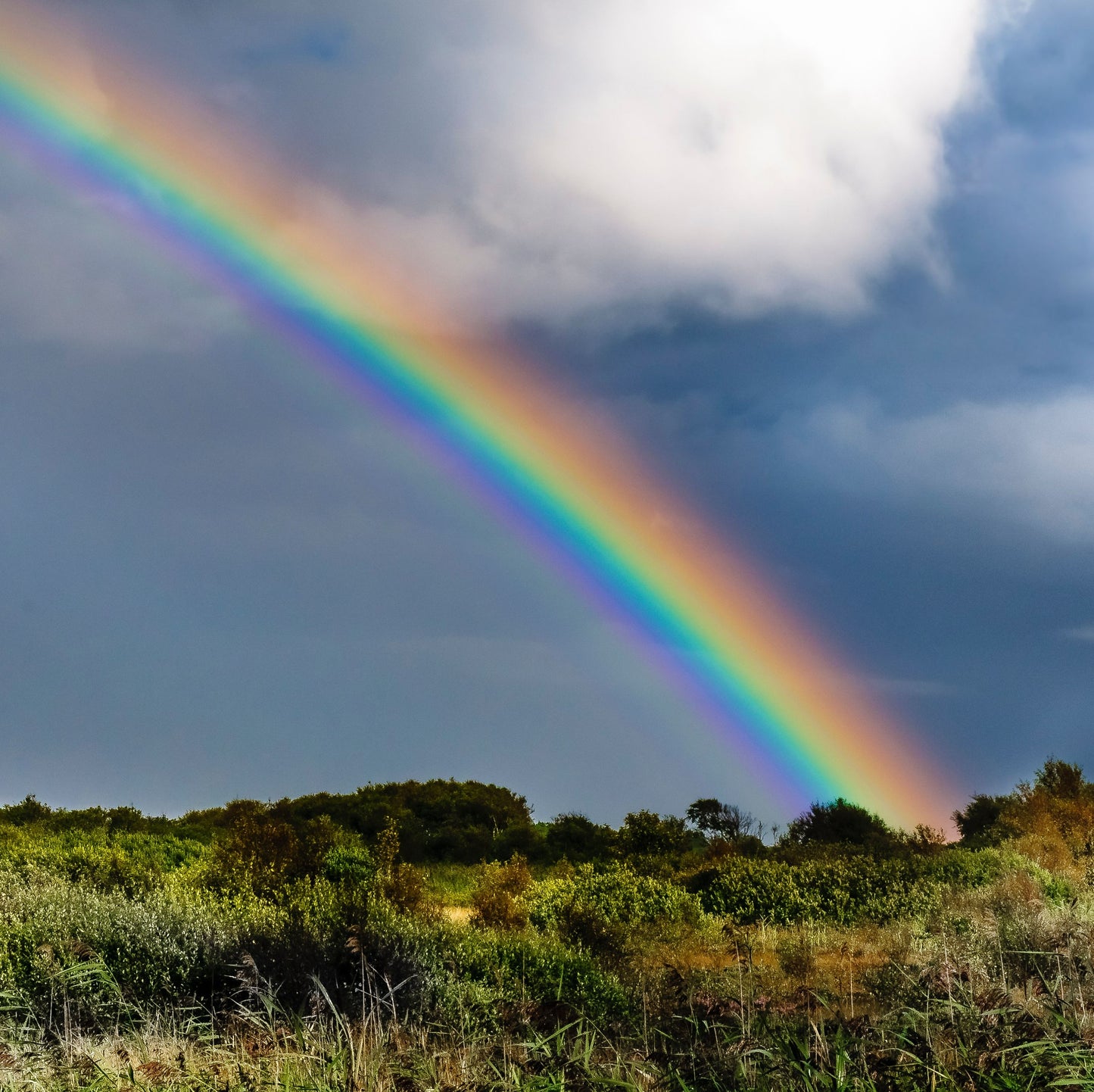 How To Feel Good Now