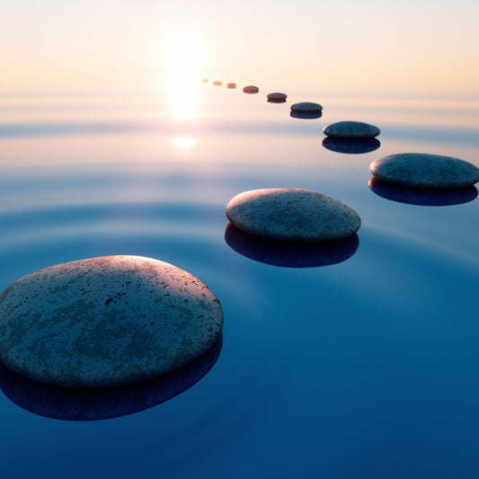 Stress and the Power of Choosing Your Solution: Part 4 (Emotional Tools)