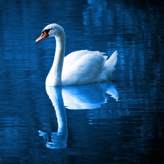 Clear Your Fear: Part 2