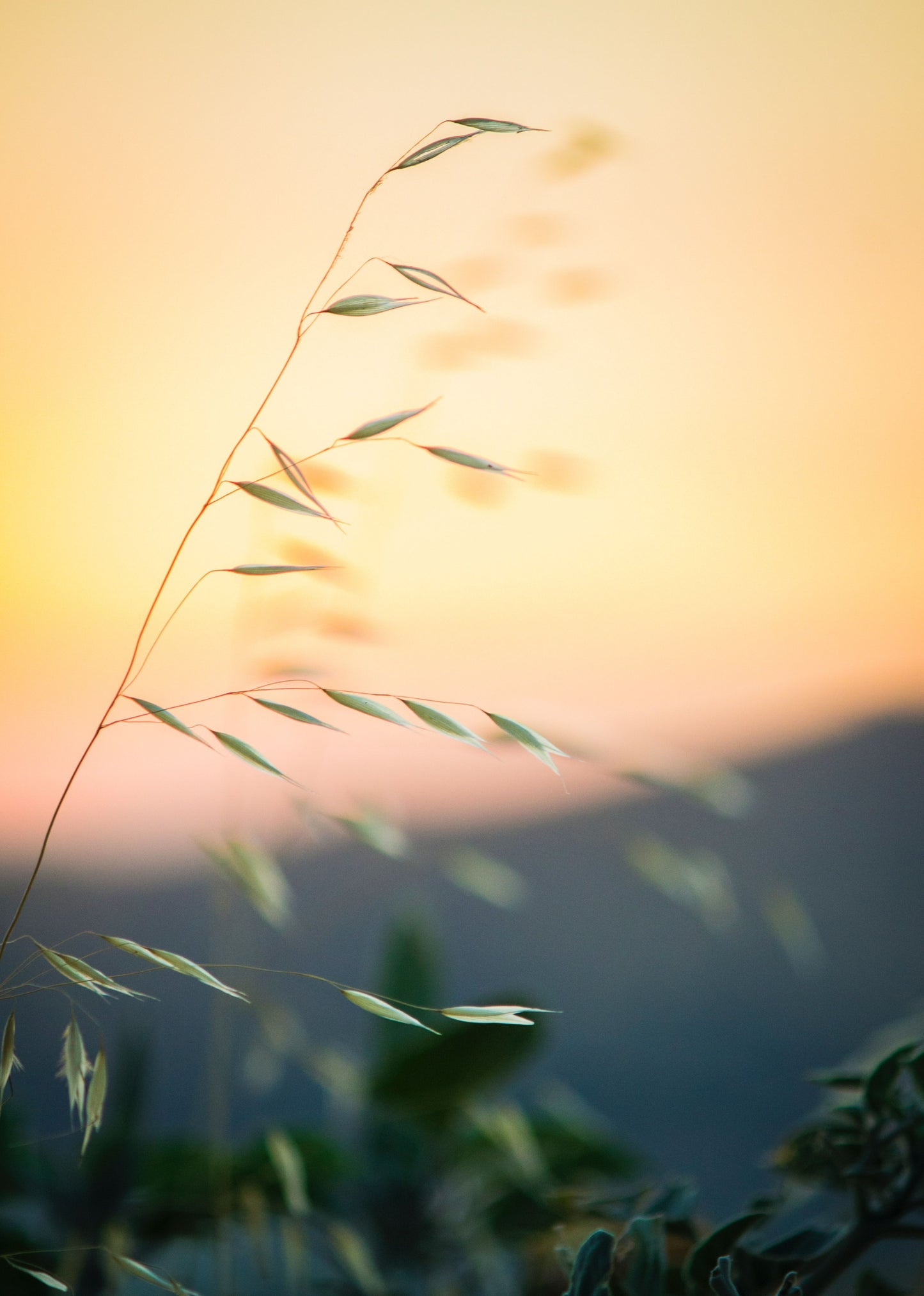 Calm Yourself in Seconds