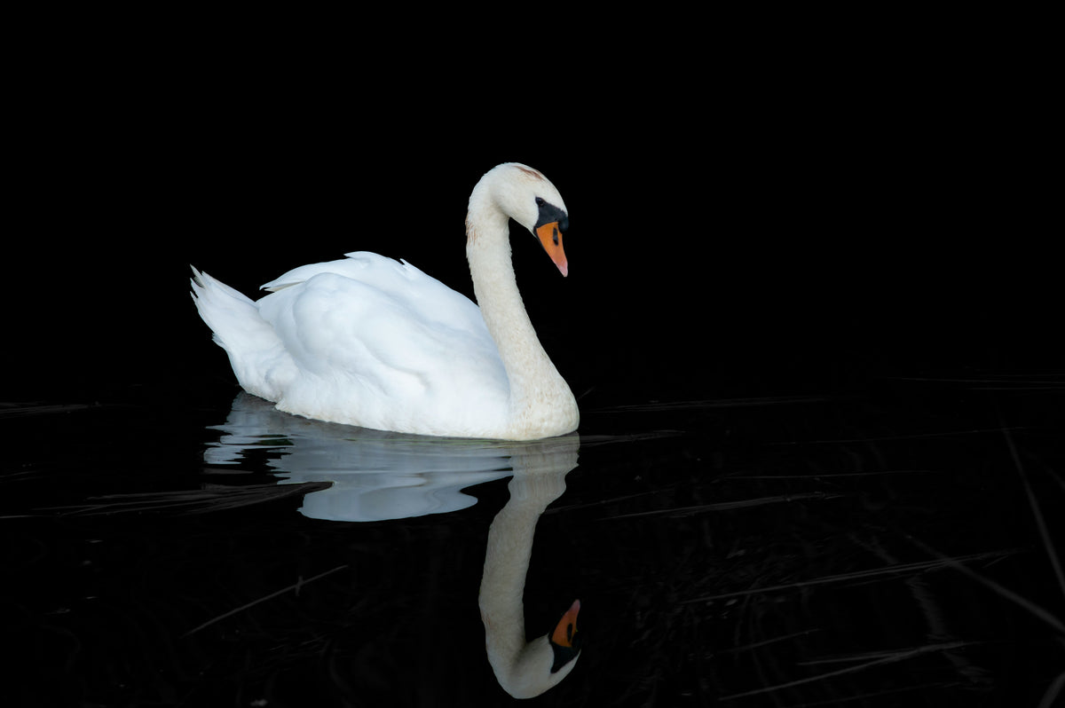 Clear Your Fear: Part 4